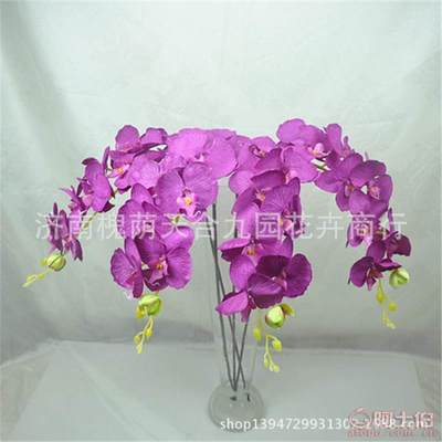 濟(jì)南槐蔭天合九園花卉商行 蝴蝶蘭仿真花批發(fā)市場(chǎng)的新選擇